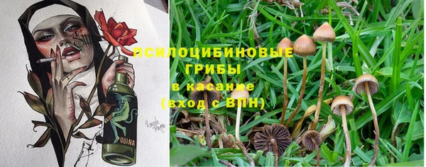 дживик Козловка