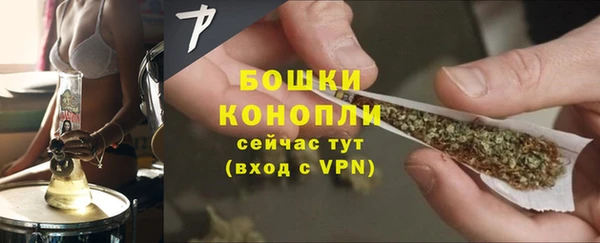 дживик Козловка