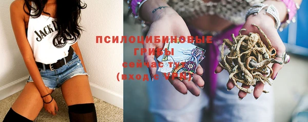 дурь Козельск
