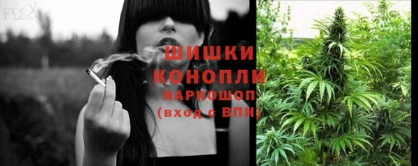 дживик Козловка
