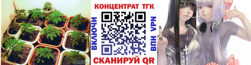 ТГК Wax Бавлы
