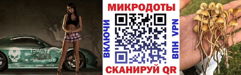 Купить закладки  Бавлы  Псилоцибиновые грибы MAGIC MUSHROOMS 